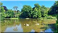 Claremont Landscape Garden