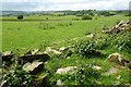 Farmland above Newchurch