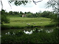 SO4574 : Sheep grazing on the south bank of the River Teme by Christine Johnstone