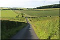 A steep descent from Longhouse