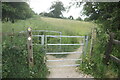 Path leading to Lemsford