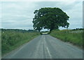 B4350 near Sheepcote Farm