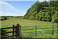 Grassland, Mullanmore