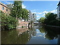 Nottingham Canal between bridges 5 and 4