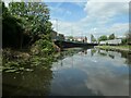 Nottingham Canal, between bridges 1A and 1B