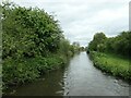 Narrows between bridges 26 and 25, Trent & Mersey canal