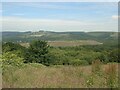 A view north from a Cefn Cribwr hillside