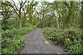 Beverley Brook Walk