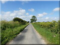 East on Hall Road a Quiet Lane