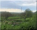 Farmland at Troedyrhiw