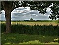 Agricultural landscape north of Barmston