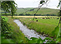 Holms Water near Rachan