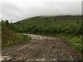 Forestry road near Croitachonie