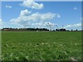 HS2 construction site, Streethay Cutting