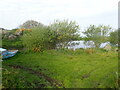 SM8030 : Pond near Portheiddy Farm by Eirian Evans