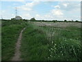 SK1804 : Public footpath on the River Tame's flood plain by Christine Johnstone