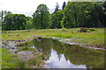 NY6120 : River Lyvennet wetland scrape by Ian Taylor