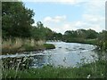 Pollution on the old course of the River Tame