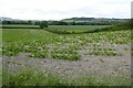 SO2760 : Farmland near Walton by Philip Halling