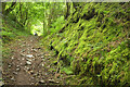 Byway above Talybont Reservoir