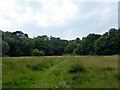 Former Recreation Ground, Ashdown Forest