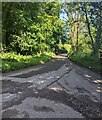 Lane in Welsh Newton Common