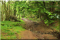 Byway above Pant-y-rhiw Outdoor Centre