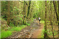 Walkers above Pant-y-rhiw Outdoor Centre