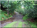 Llwybr ceffyl Cwm-Einon-fawr / Cwm Einon-fawr bridleway