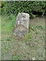 Old Boundary Marker on the B4035 Aston Road