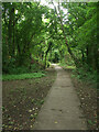 Public footpath at the northern edge of Kenfig Hill