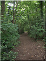 Public footpath at the northern edge of Kenfig Hill (3)