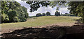 Field on Stoke Park Farm with bullocks