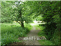 Public footpath FP403