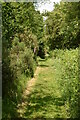 Grassy path at Crag House Farm