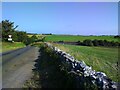 High on the Mendips