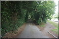 Mill Green Lane towards Woodhall Farm