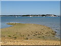 SZ0286 : Tidal spit at Jerry's Point, Poole Harbour by Malc McDonald