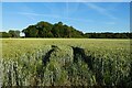 Farmland, Stratfield Saye