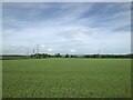 Farmland at Knapton Carr