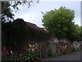 Mid summer flowers in Village Street