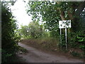 Track from Mill Lane to Sheet Allotments