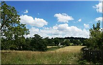 TQ5243 : View from Rogues Hill, Penshurst by pam fray