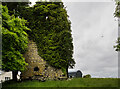 N2740 : Castles of Leinster: Syonan, Westmeath (1) by Mike Searle