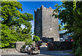 N4683 : Castles of Leinster: Ross, Meath (2) by Mike Searle