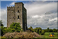 N8959 : Castles of Leinster: Riverstown, Meath (3) by Mike Searle