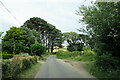 Copse on outskirts of Plain-An-Gwarry