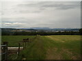 Field at Leys Home Farm above the City of Inverness