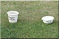 TA2068 : Watering spot for dogs by Oliver Dixon