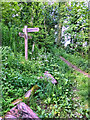 Footpath Junction above Strathpeffer